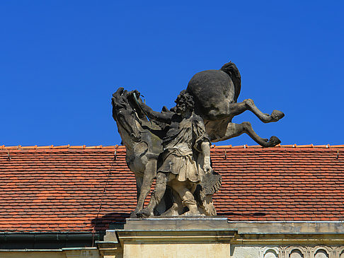Ornamente - Brandenburg (Potsdam)
