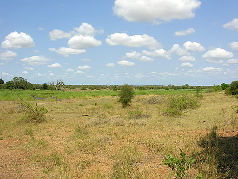 Landschaften - Mpumalanga