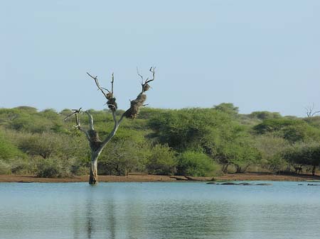 Landschaften - Mpumalanga