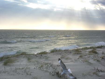 Strand von Kapstadt - Westliches Kap (Kapstadt)